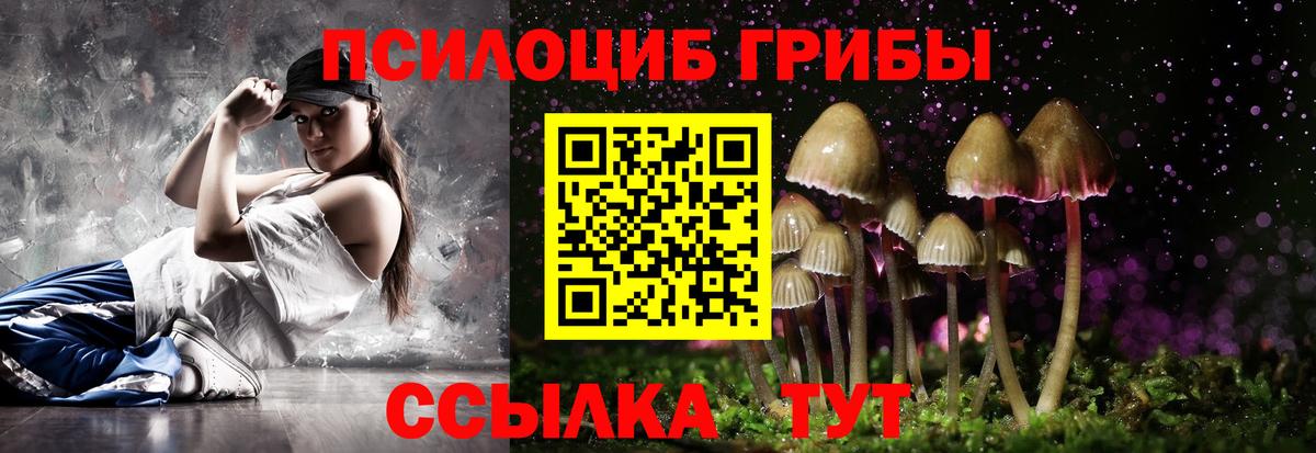 Аргун  Галлюциногенные грибы MAGIC MUSHROOMS  Галлюциногенные грибы ЛСД  Вход с VPN 