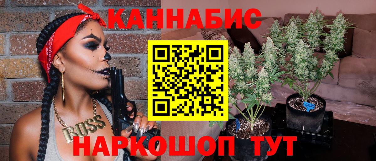 Бошки Шишки гибрид  Вход с VPN  Каннабис сатива  Аргун 